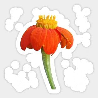 Red Sunflower Yellow and Green Sticker